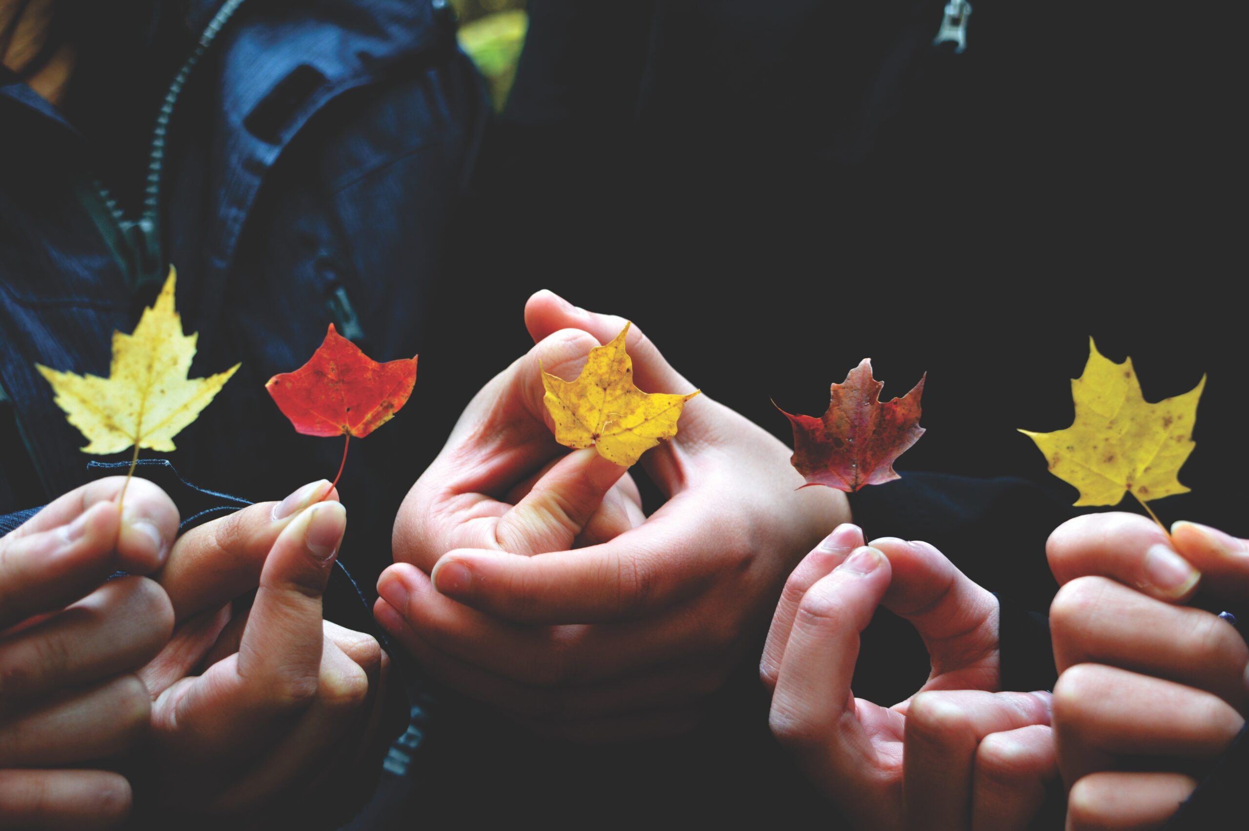 A Few Problems With End-Of-Year Giving – And Another Way